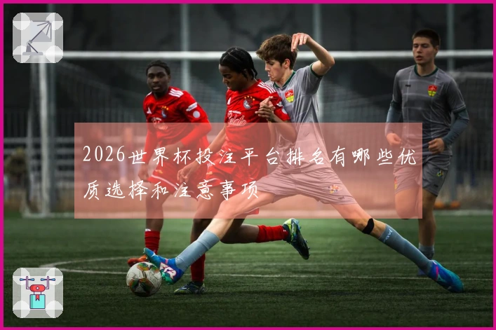 2026世界杯投注平台排名有哪些优质选择和注意事项