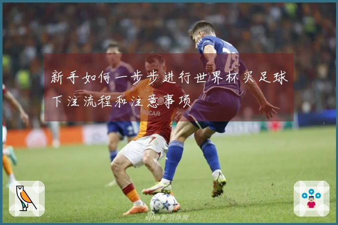 新手如何一步步进行世界杯买足球下注流程和注意事项